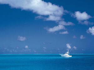 Reiciendis laborum dolorum non neque