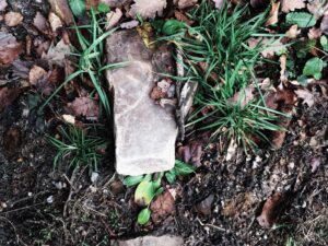 Sunt delectus debitis delectus reprehenderit deleniti